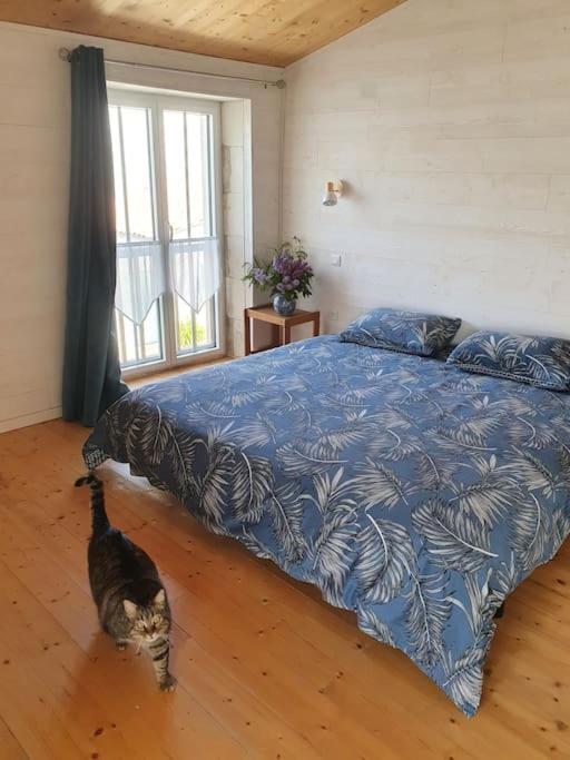 Le Chai Rit Villa Rivedoux-Plage Esterno foto